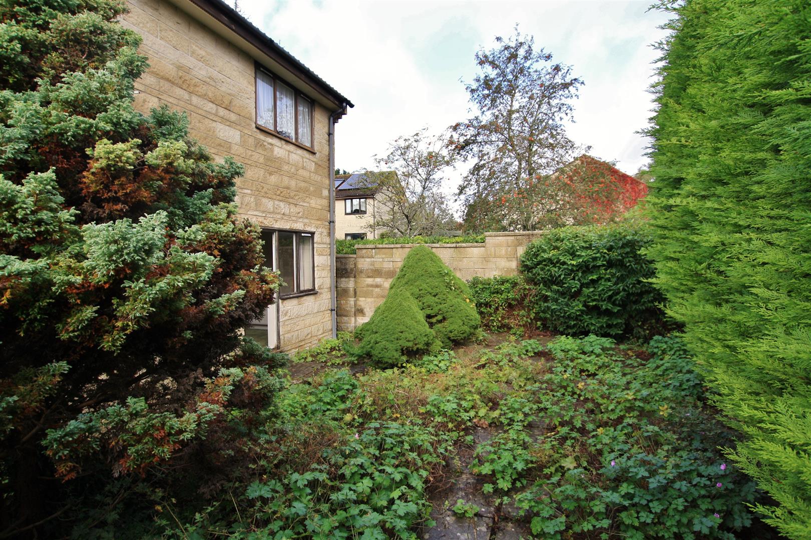 30093916_12.jpg